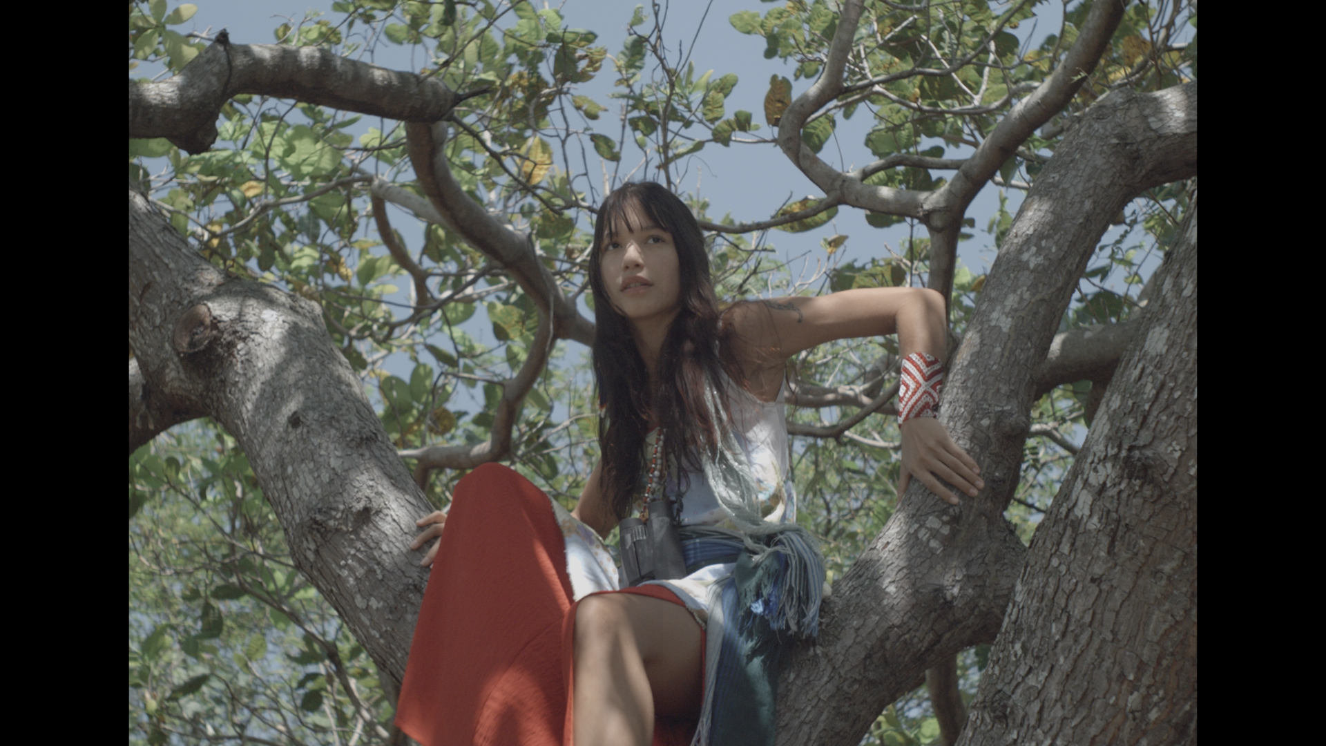 Digital Bolex D16 DNG RAW