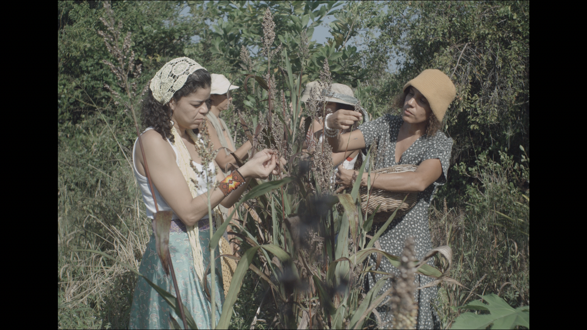 Digital Bolex D16 DNG RAW