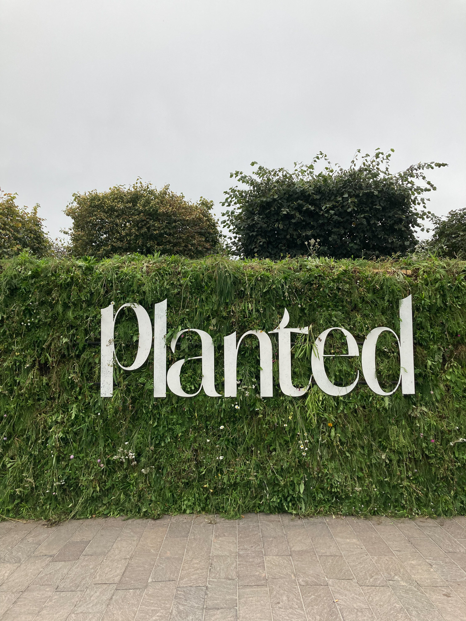 Outside Planted