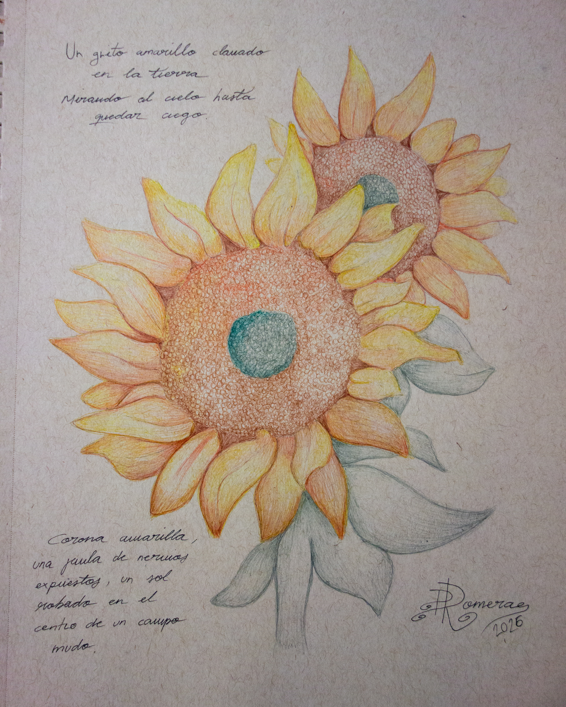 Girasoles silvestres