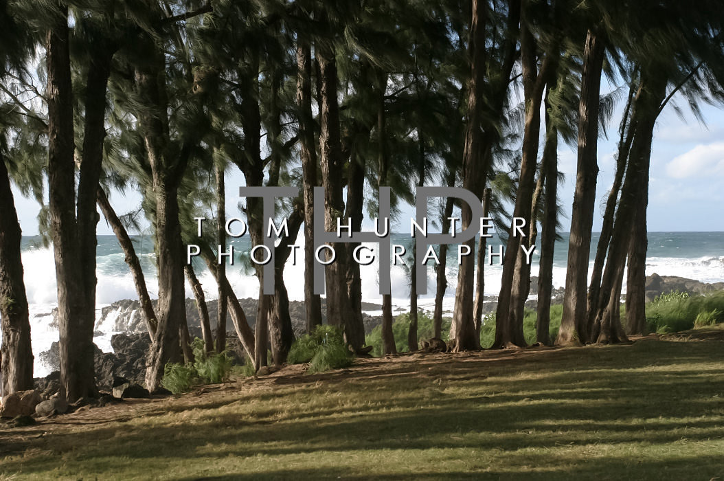 Ehukai Beach Park