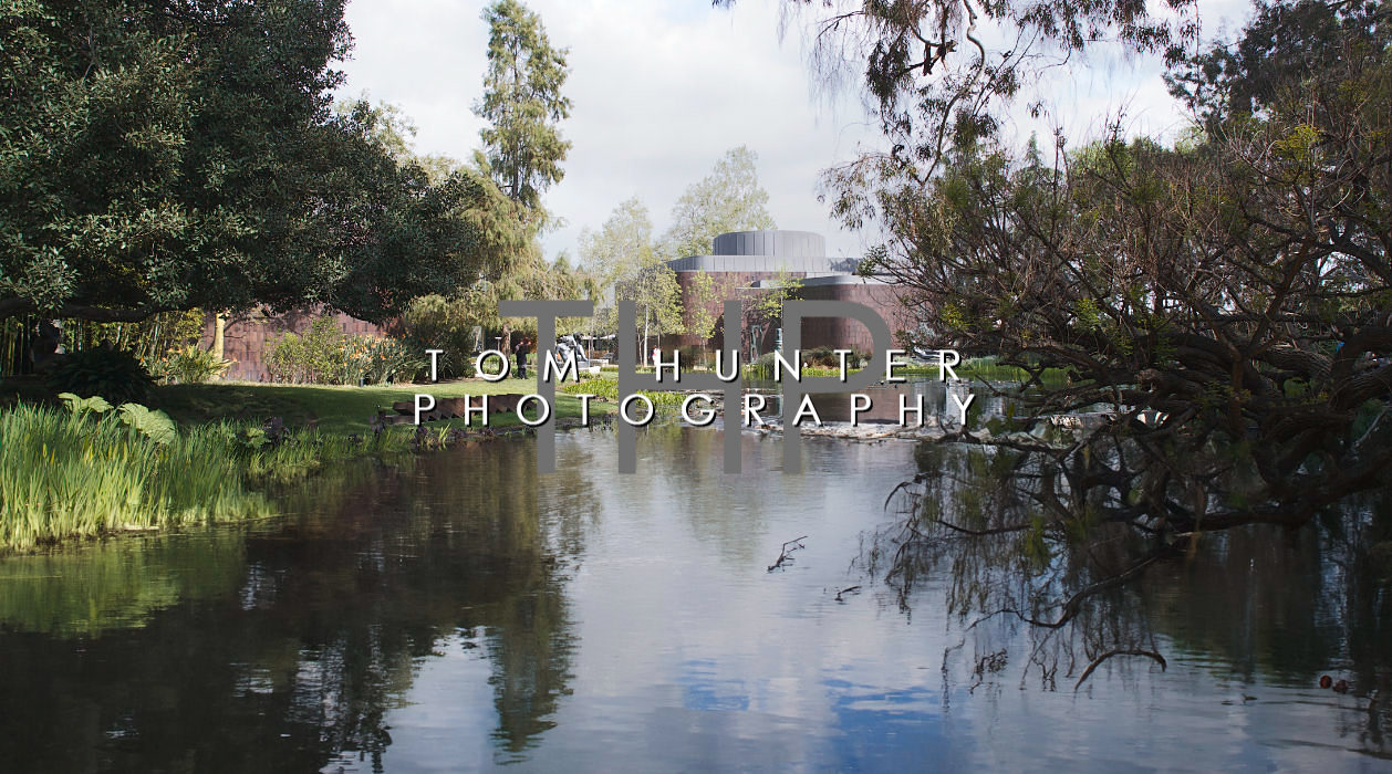 Lagoon - Norton Simon Museum