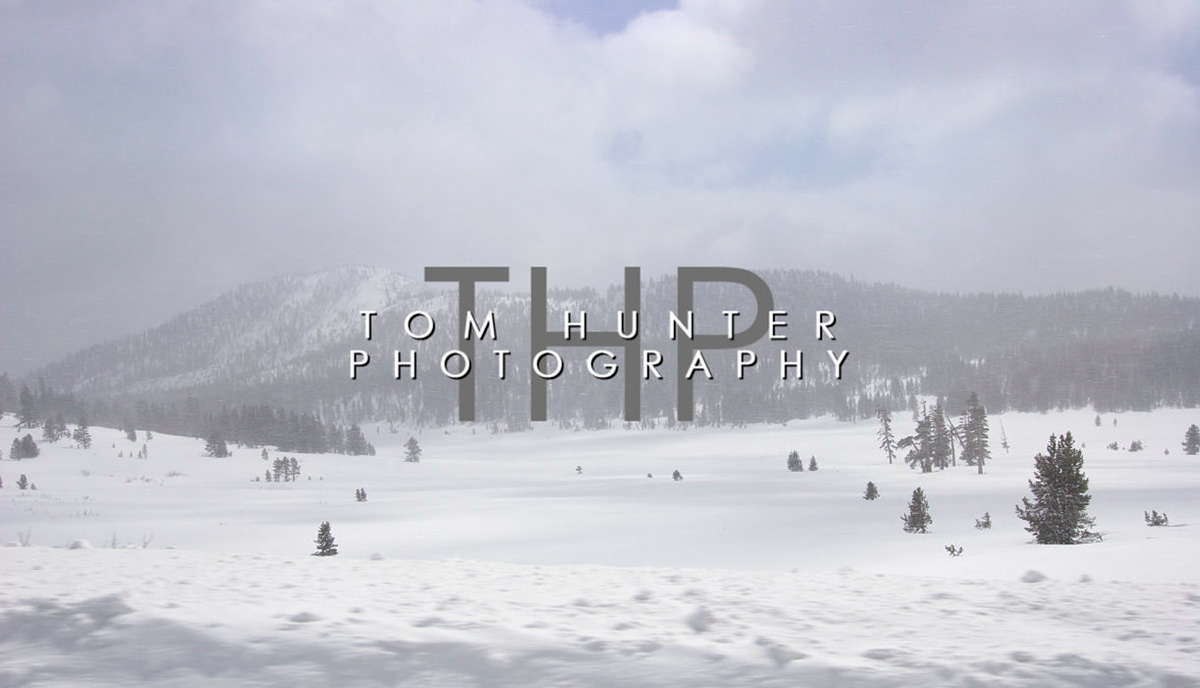 Bizzard - Mt. Rose Wilderness Area