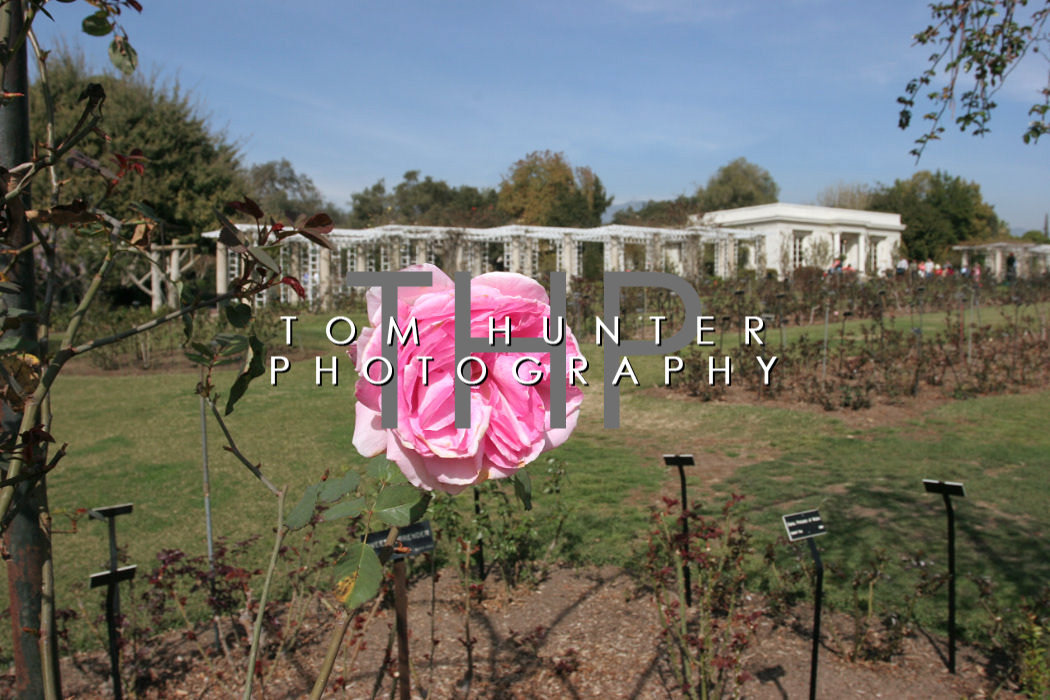 Huntington Library