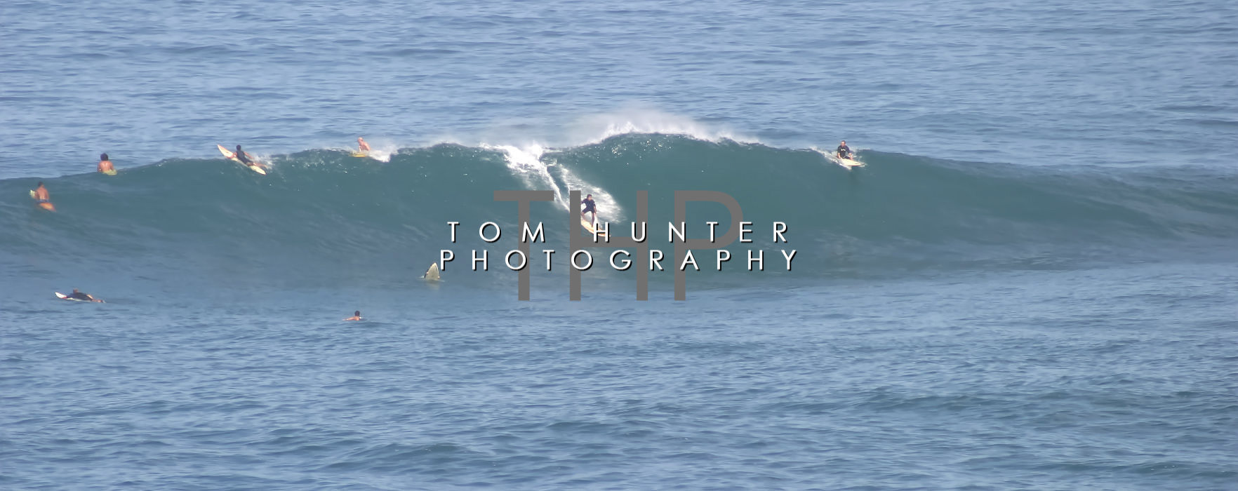 Waimea Surf