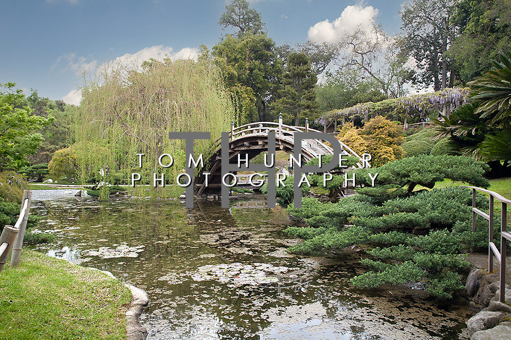 Japanese Garden - Arboretum