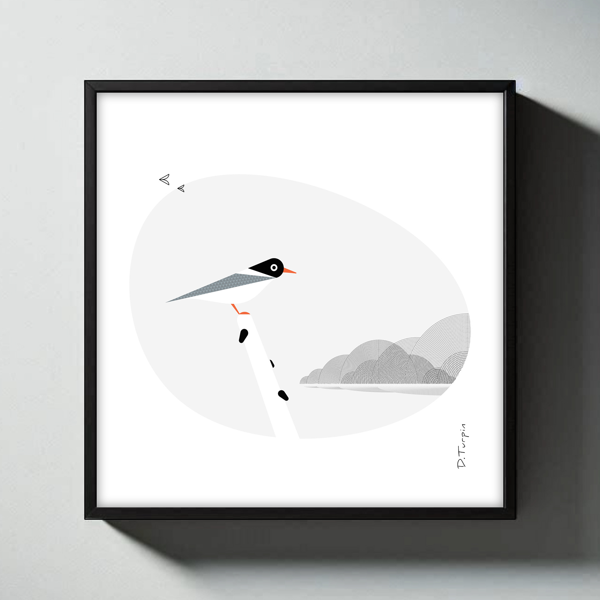 Tern illustration