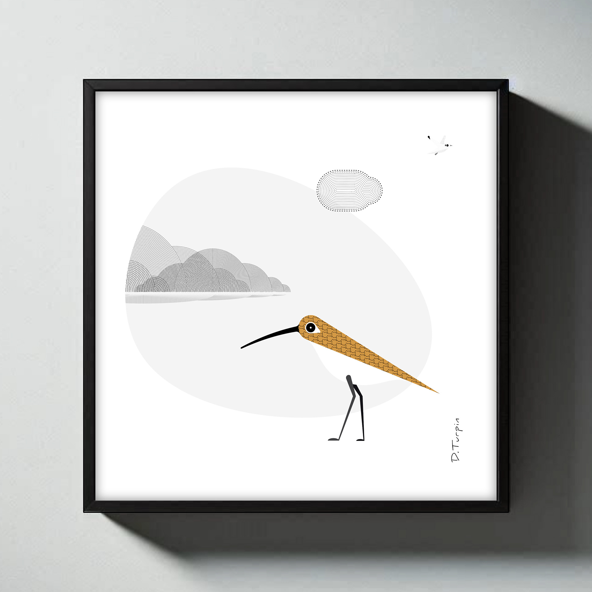 Curlew illustration