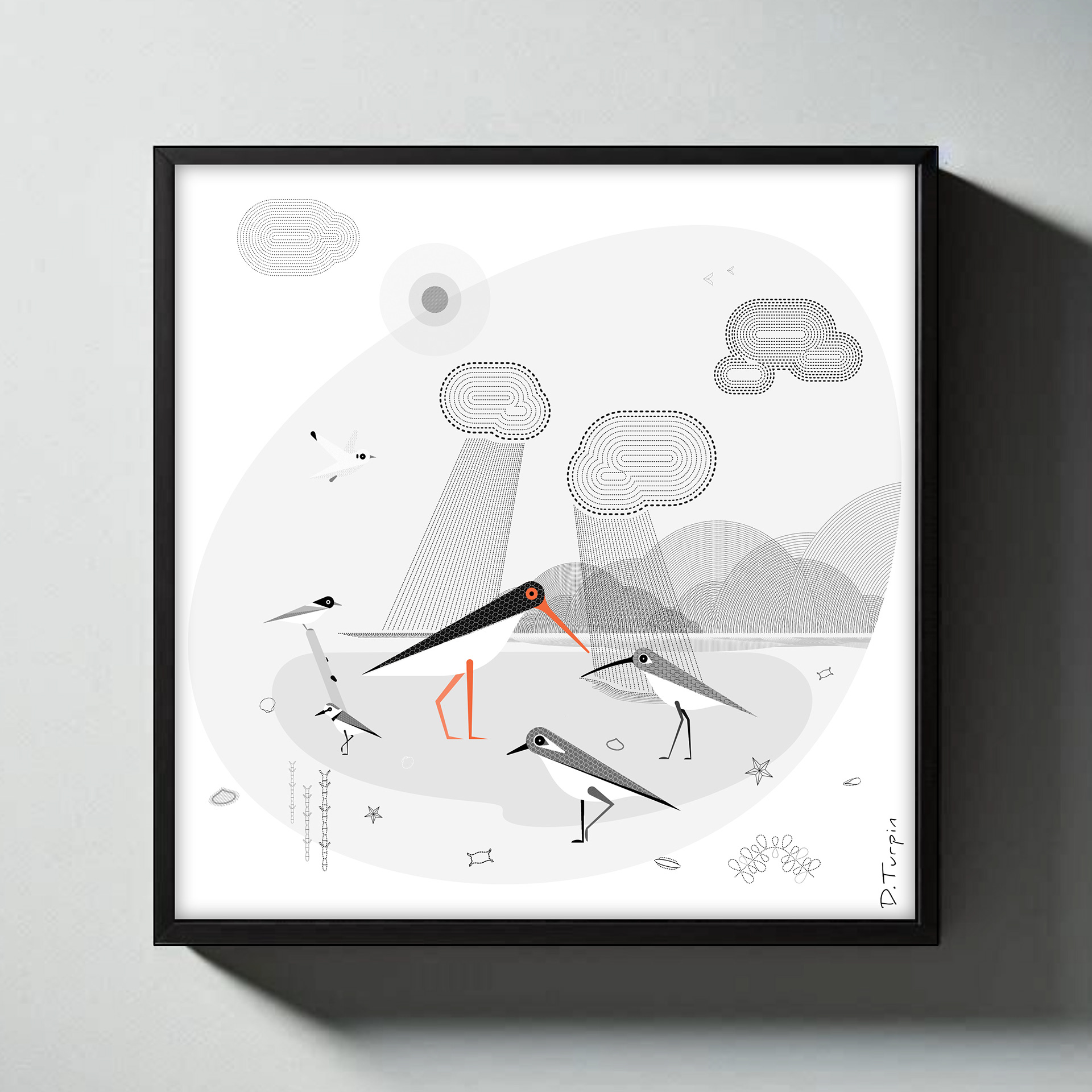 Coastal birds illustration