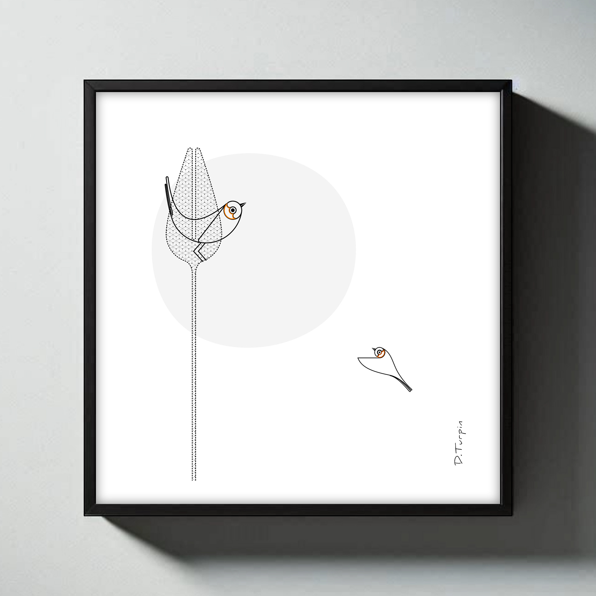 Robins illustration