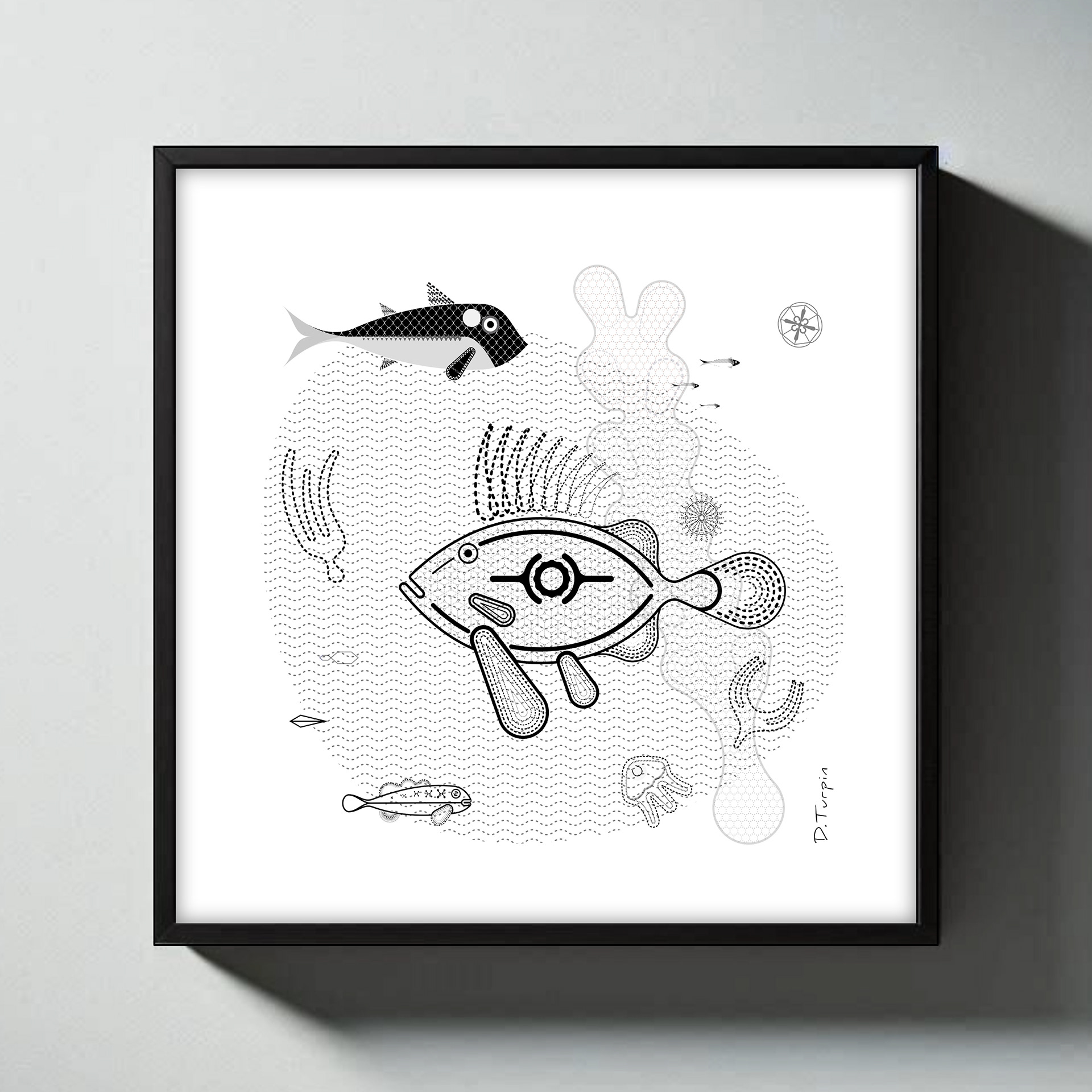 John Dory illustration