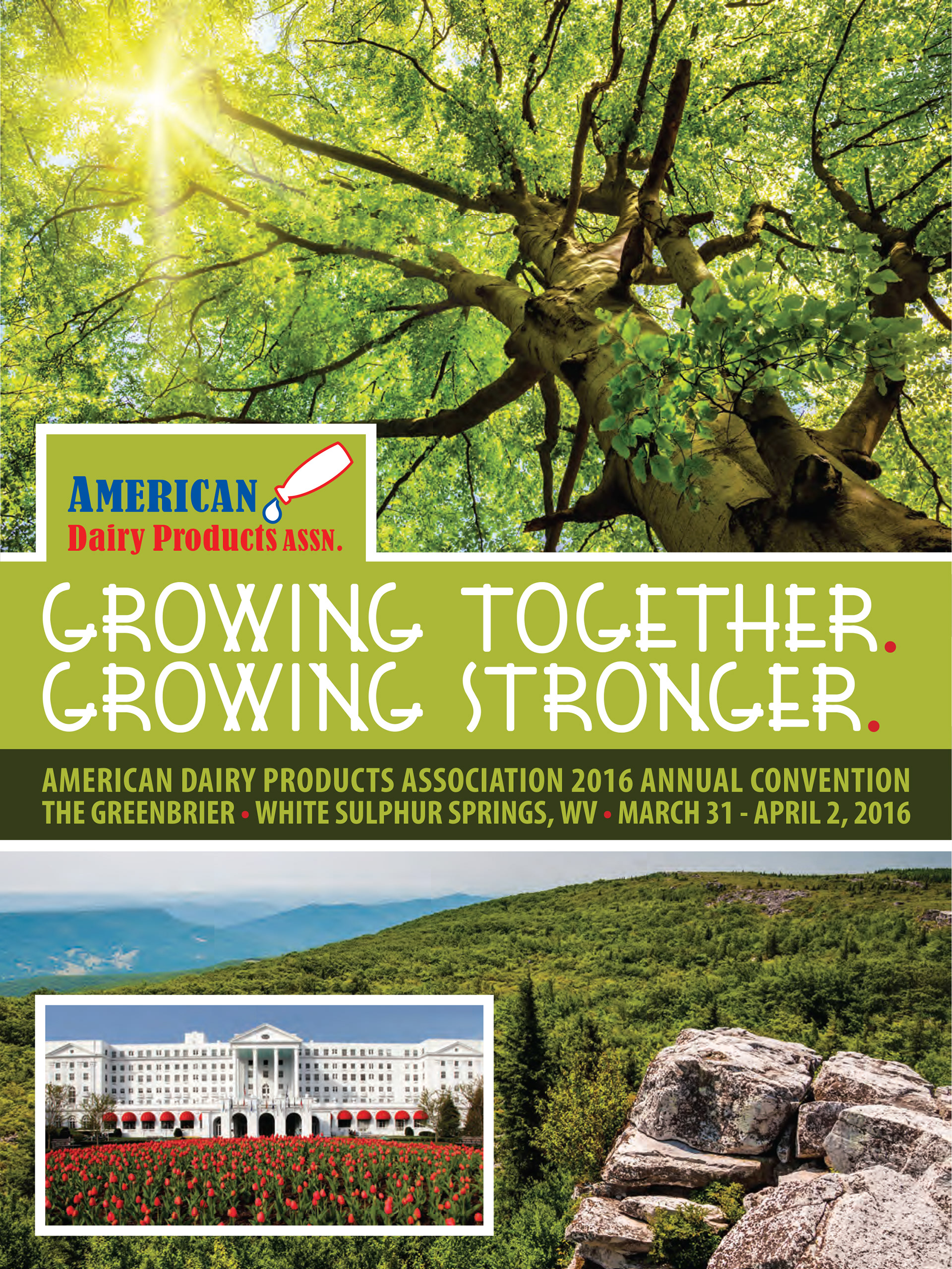 Conference Branding, Graphic Design, Collateral Materials