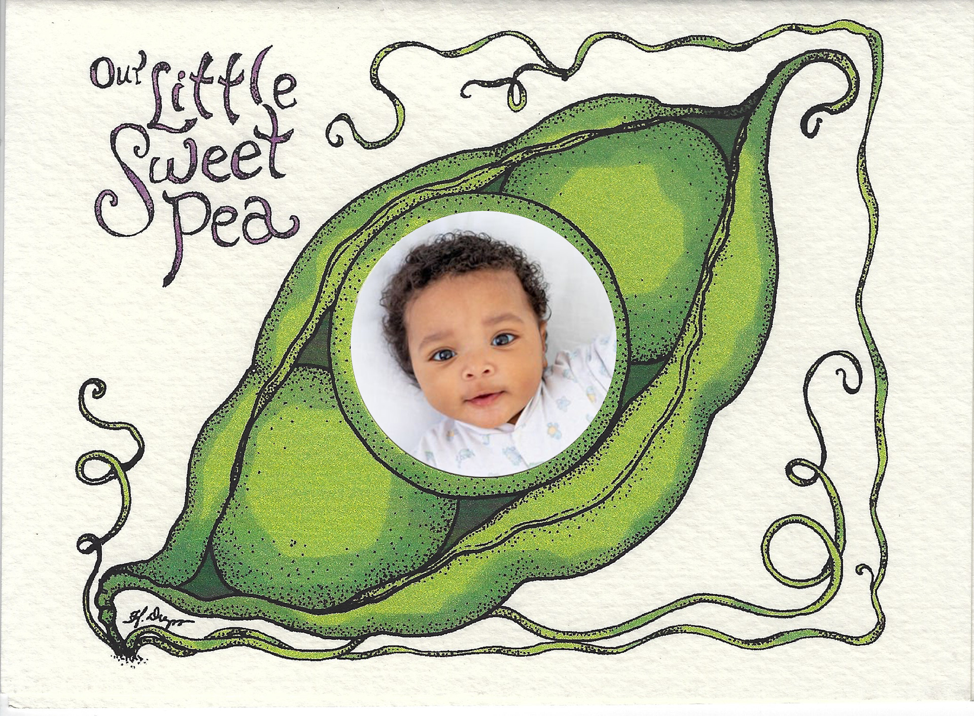 Pen & Ink Illustration, Adobe Illustrator - Birth Announcement