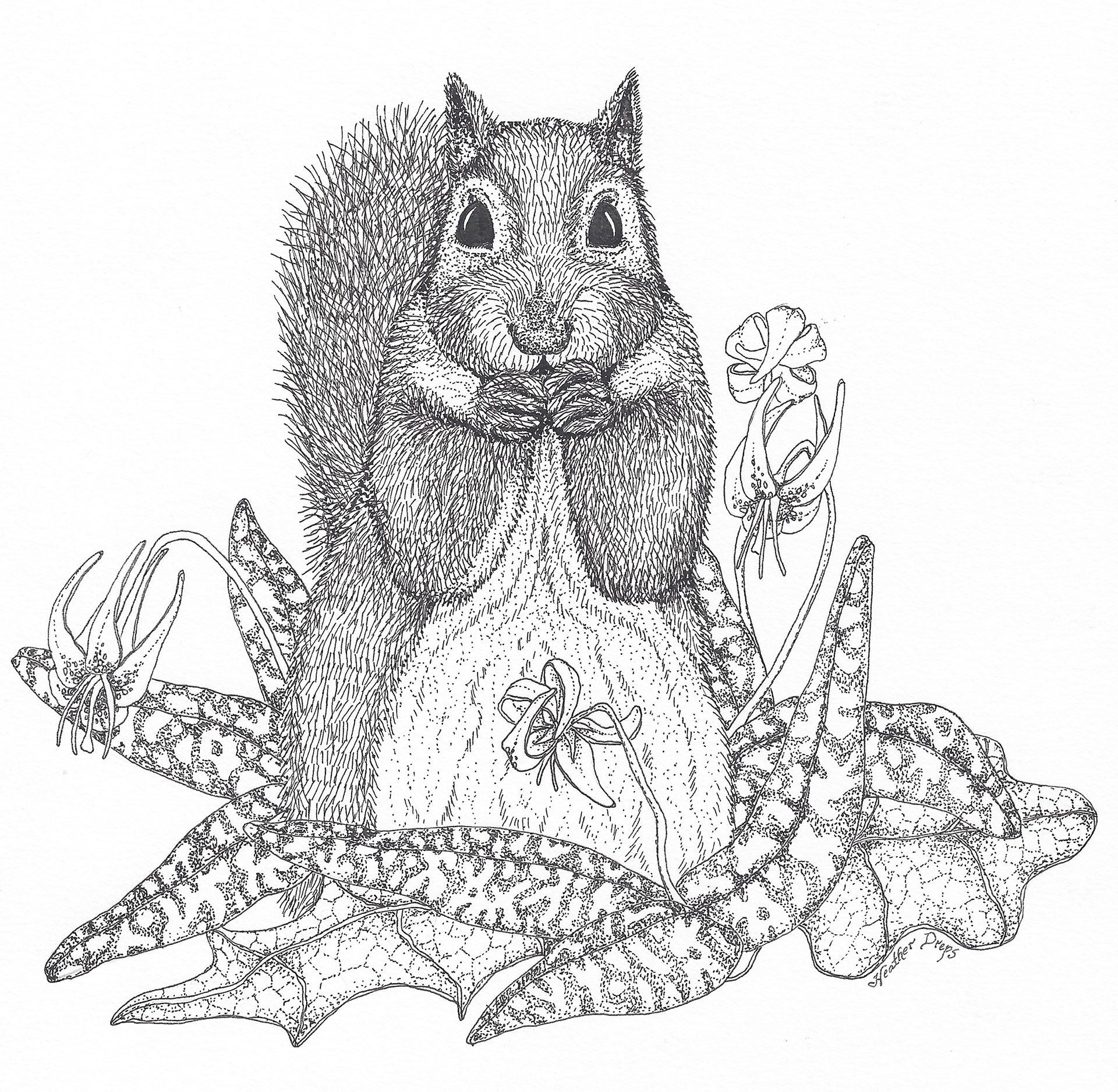 Illustration - Pen and Ink