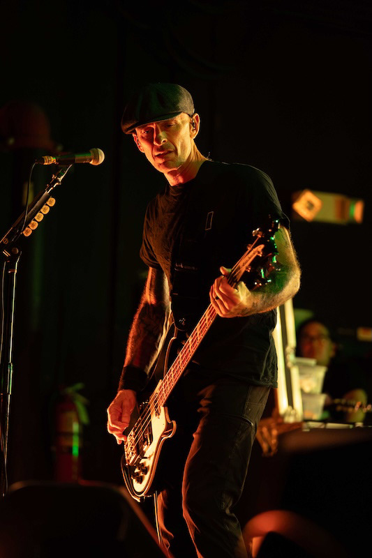 Toadies