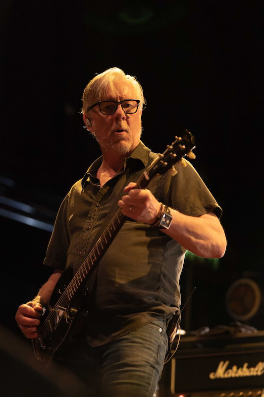 Toadies