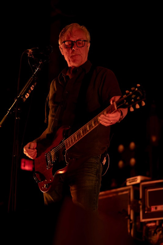 Toadies
