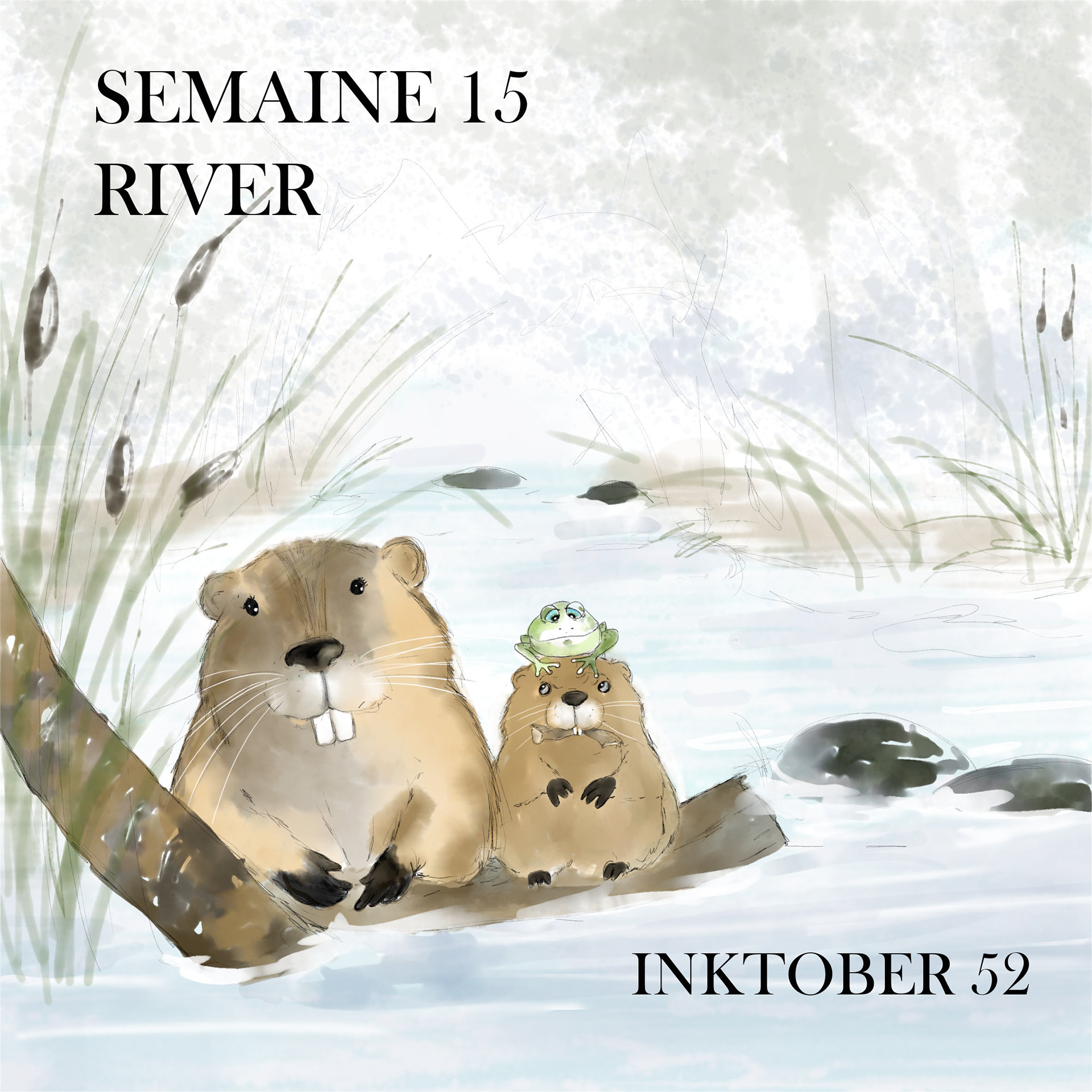 2024 - Semaine 15