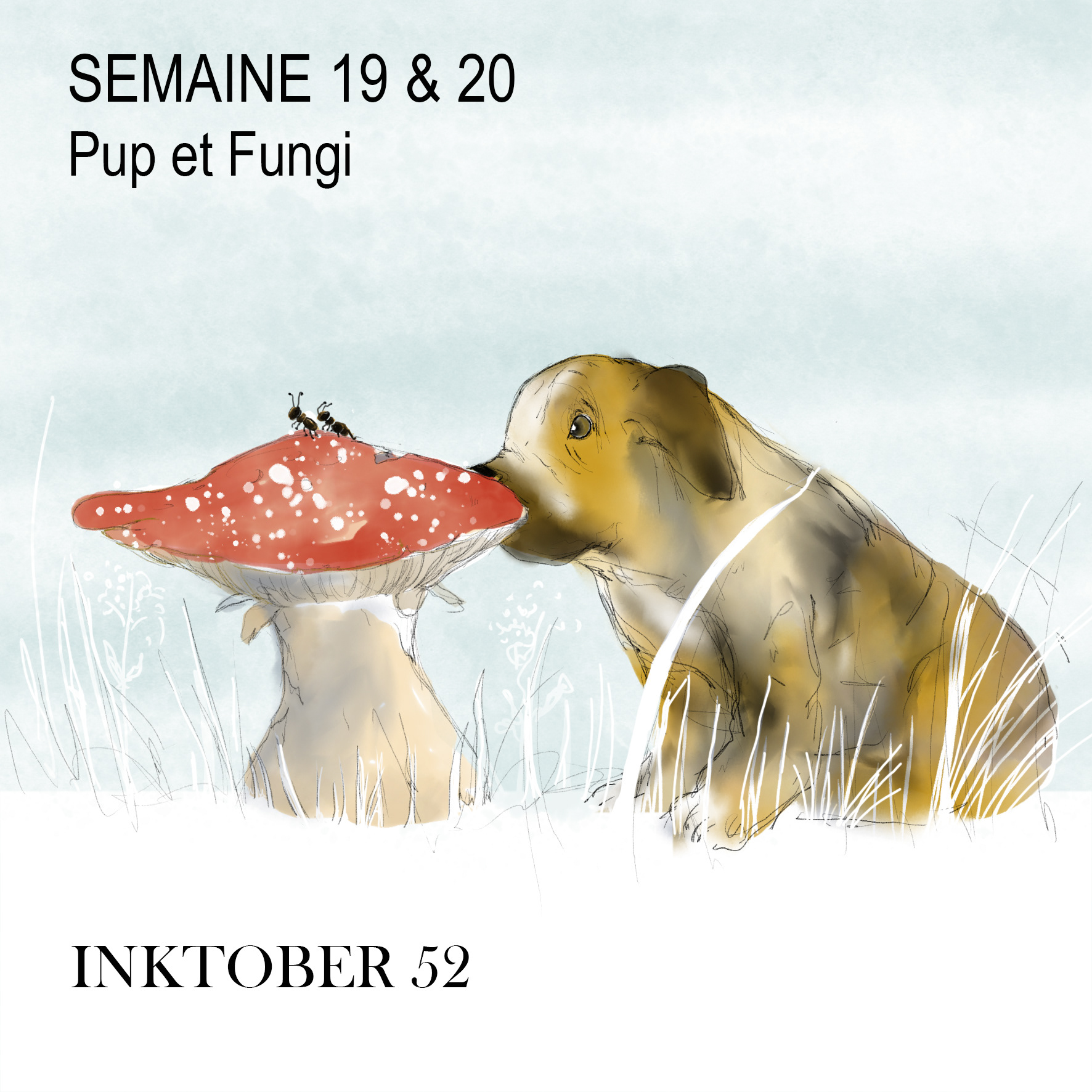 Semaines 19 et 20