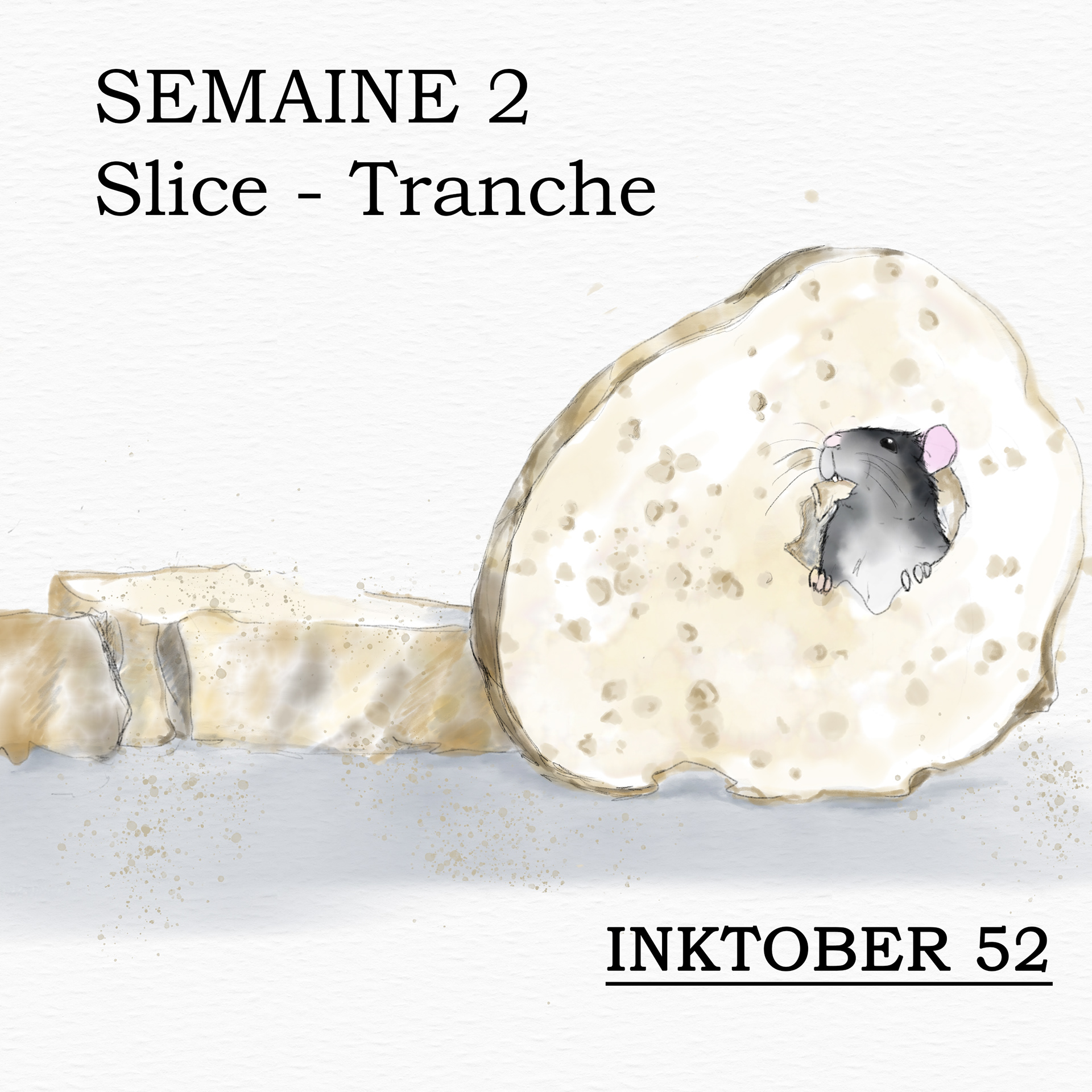 2024 - semaine 2