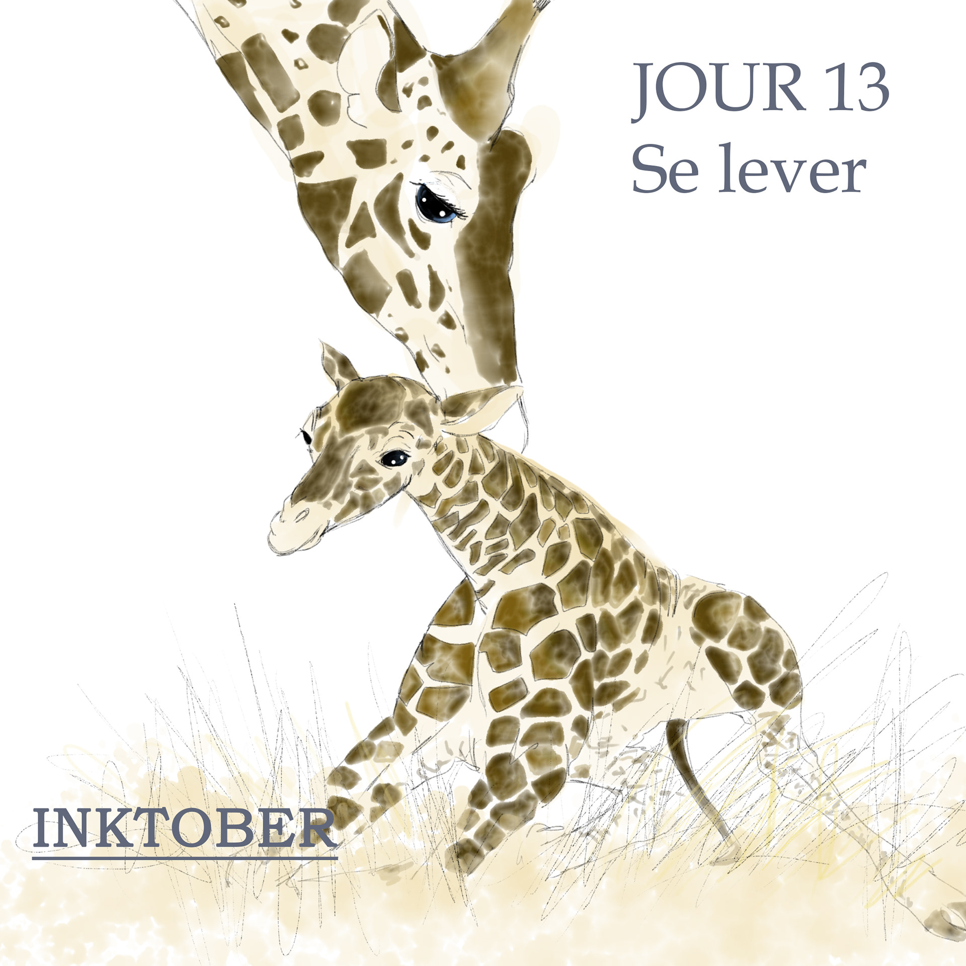 13 octobre