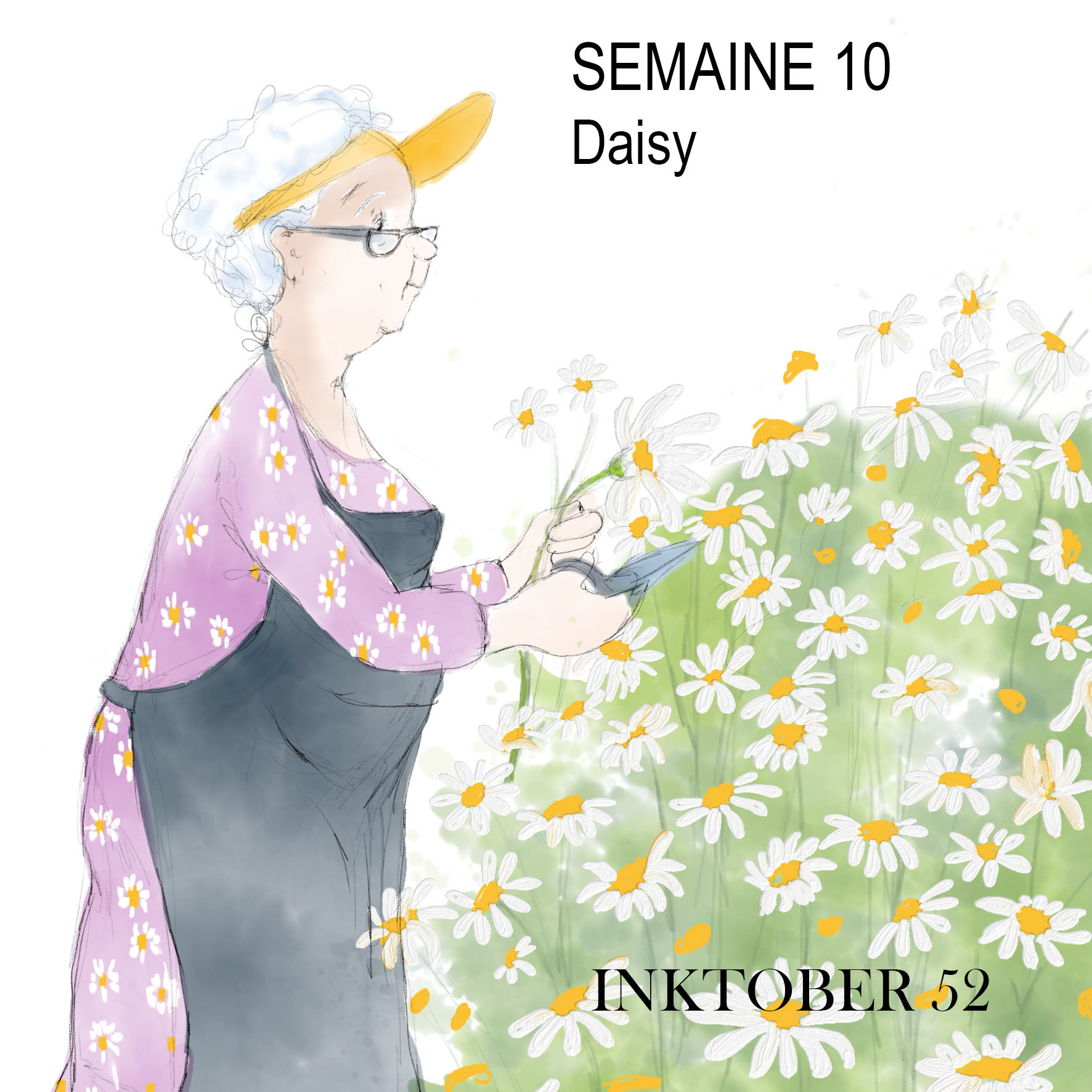 semaine 10 - Daisy