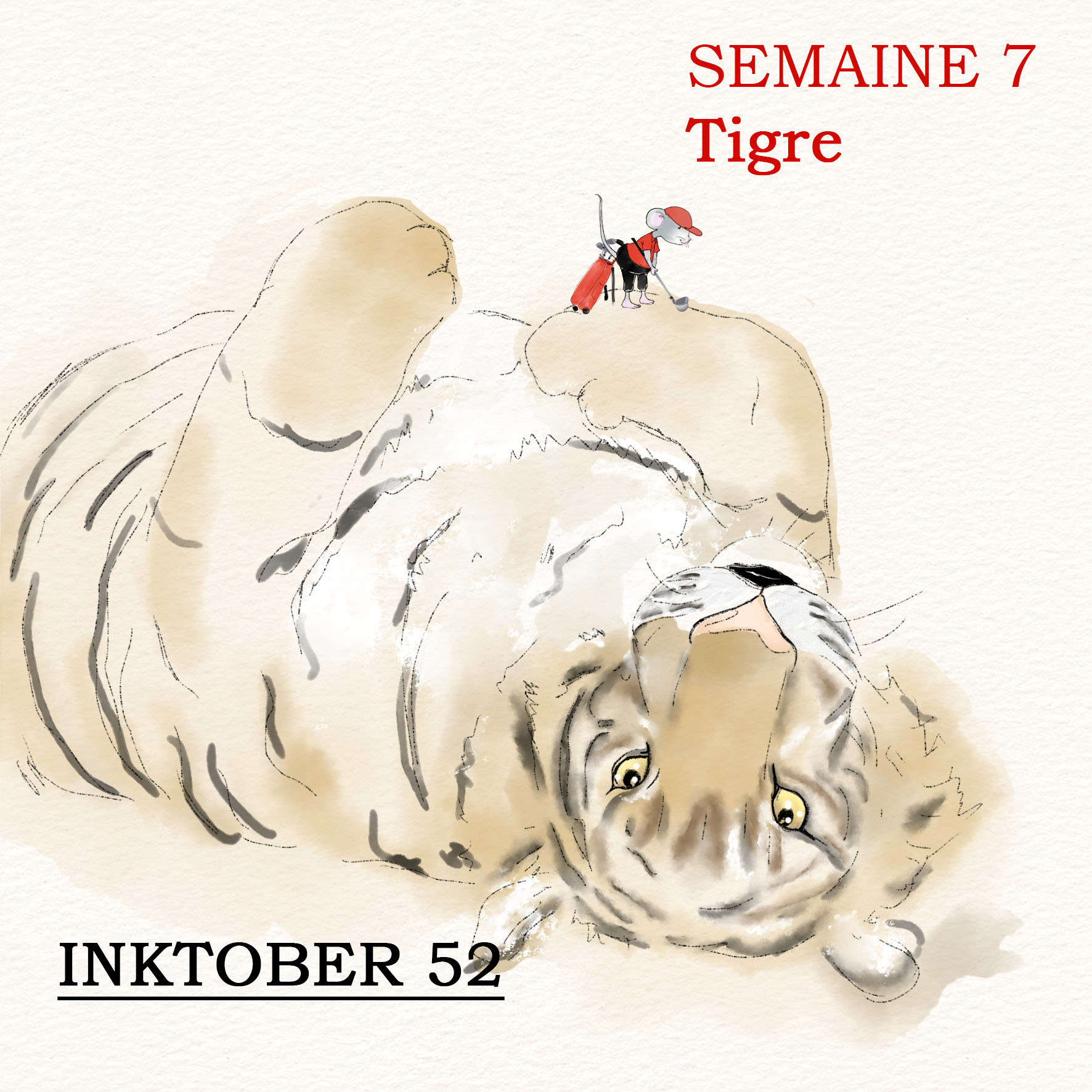 Semaine 7 - tigre