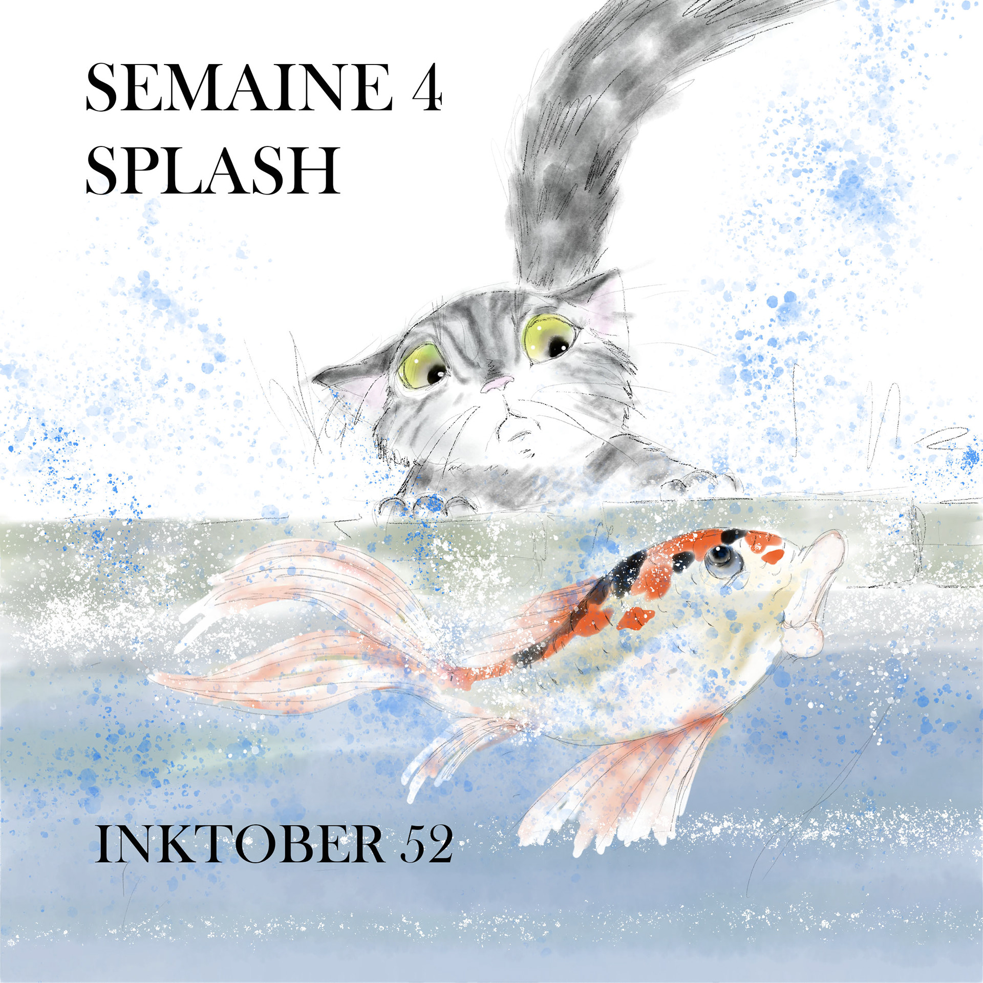 Semaine 4 - Splash