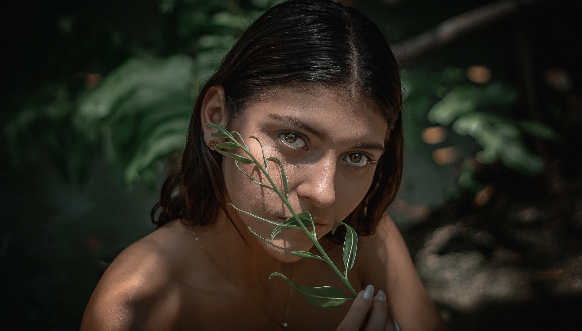 LUZ NATURAL