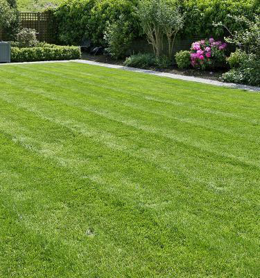 Sustainable Gardening