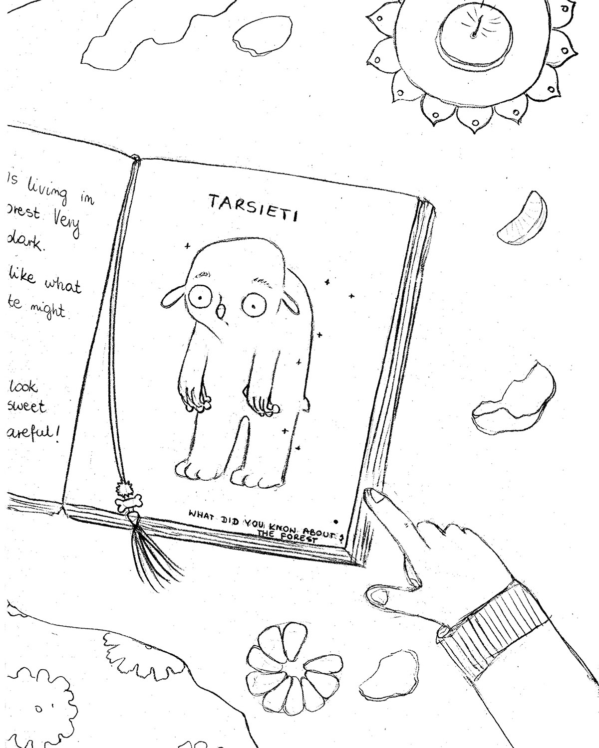 Book - sketch