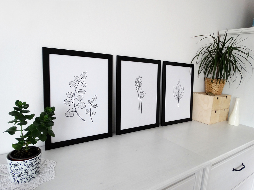 NATURE - posters