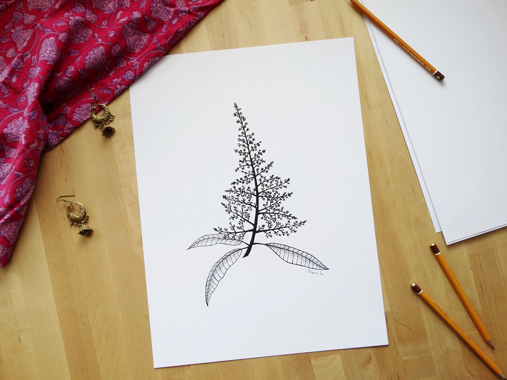 MANGO FLOWERS - poster