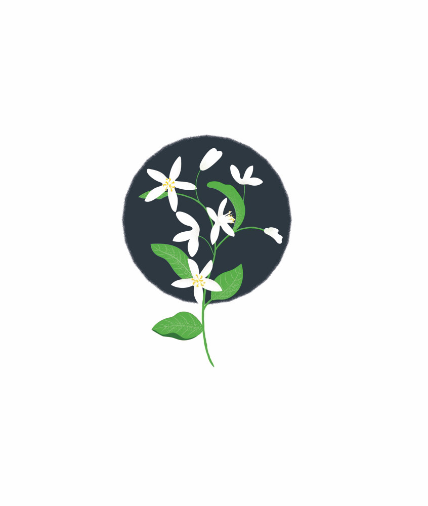 LEMON FLOWERS