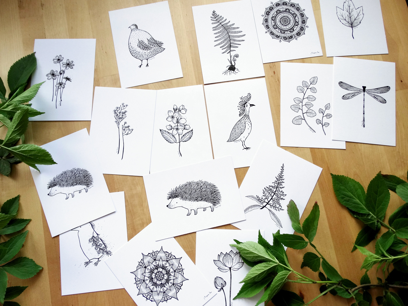 B&W CARDS collection
