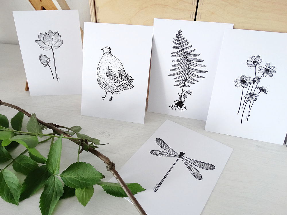 B&W cards