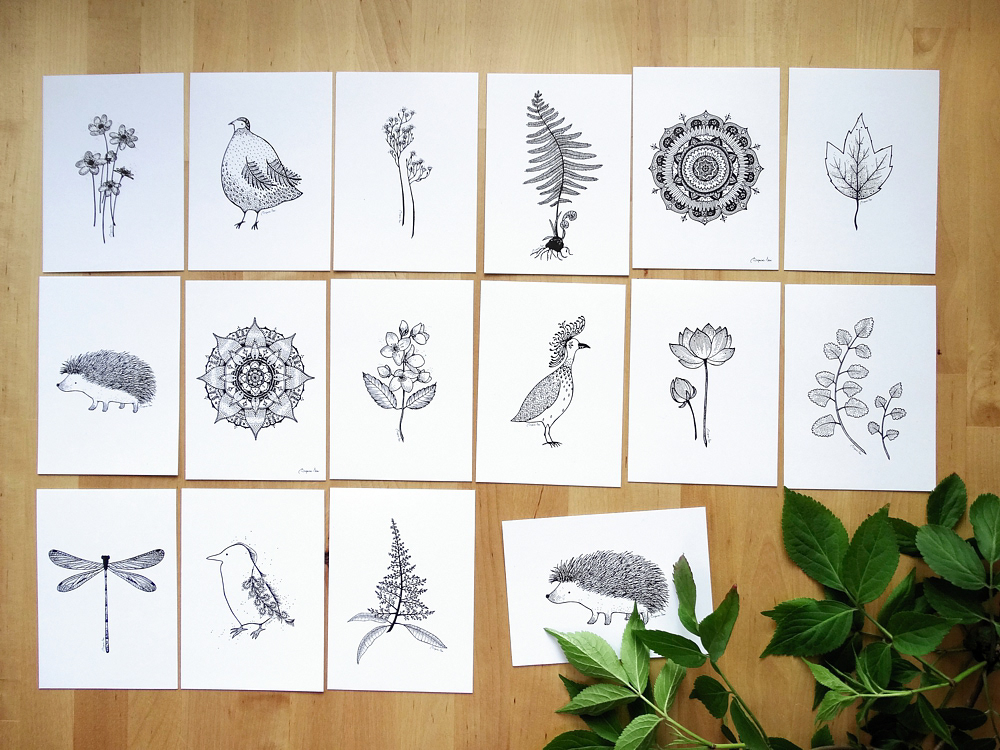 B&W CARDS collection