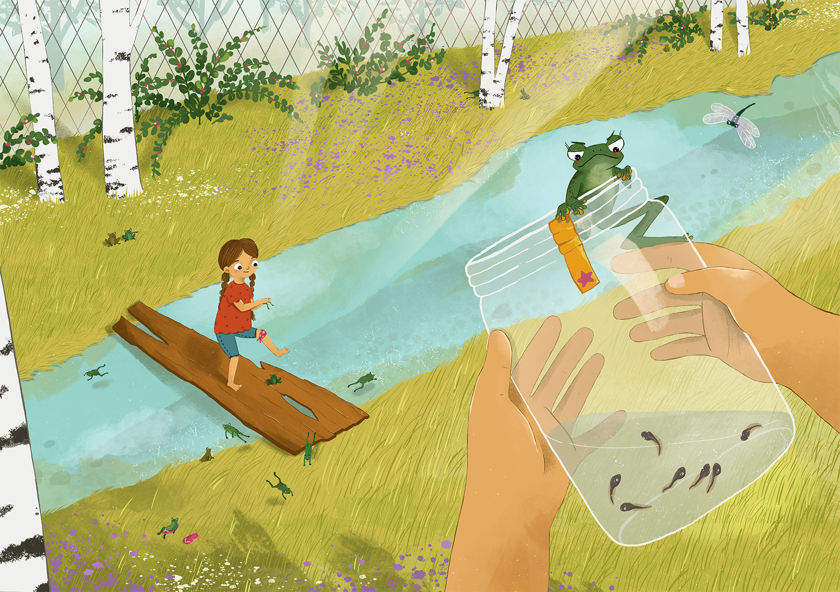 Pickles, pebbles and frog songs /book concept