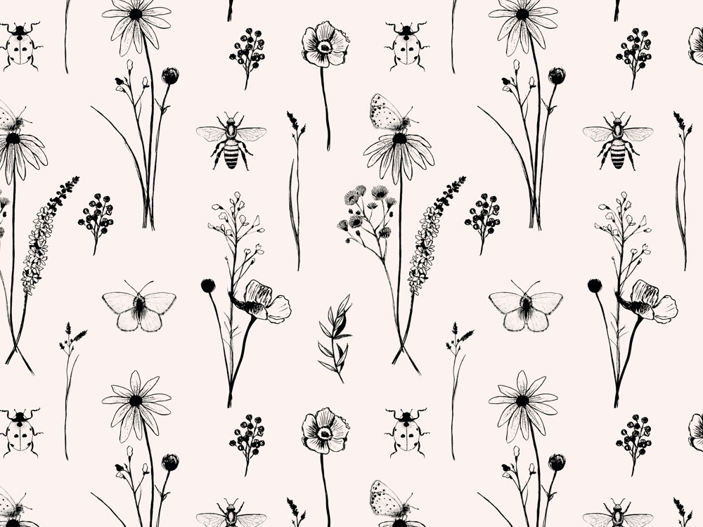 Insects in the meadow