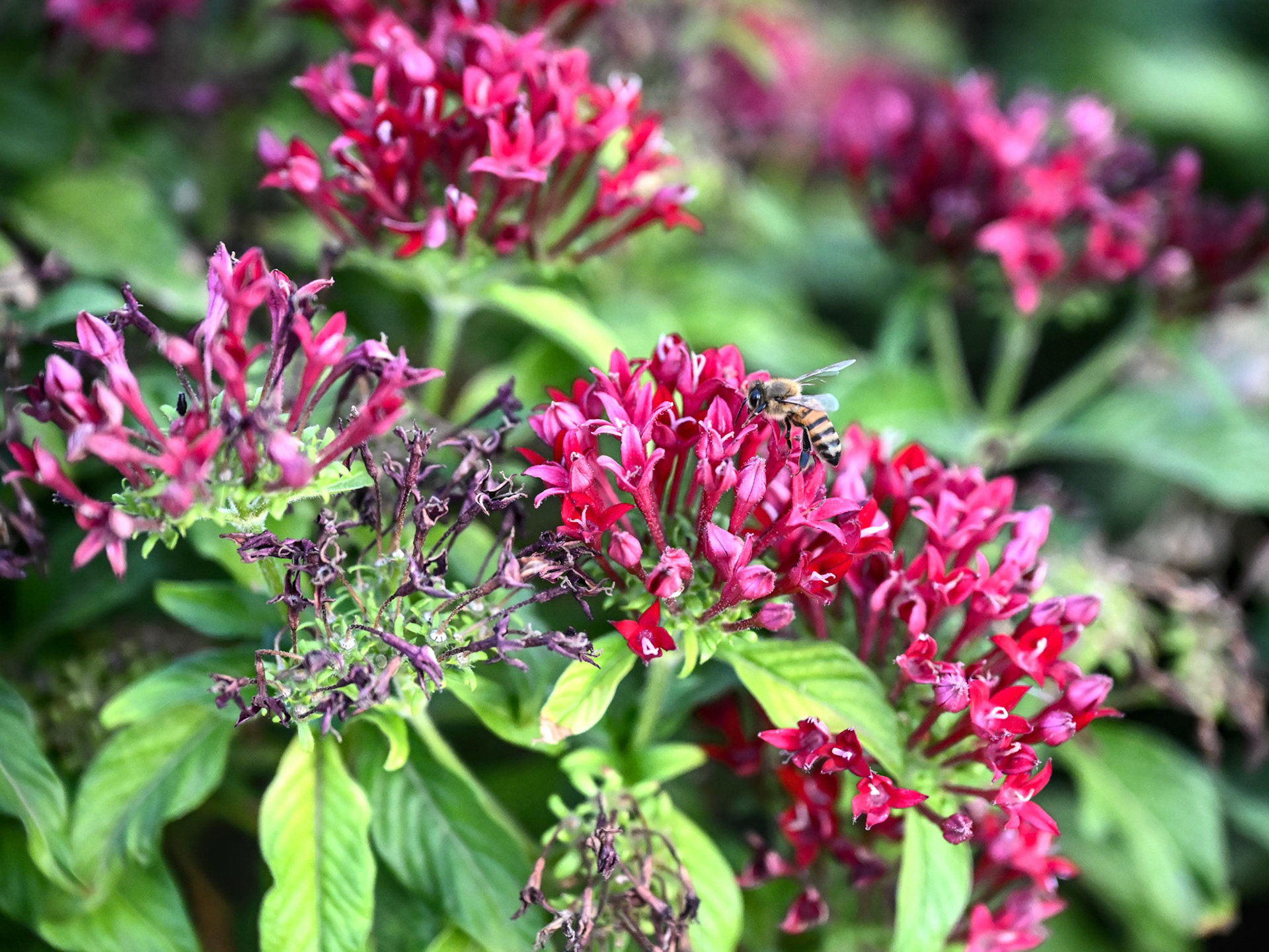 A Scene from the Office