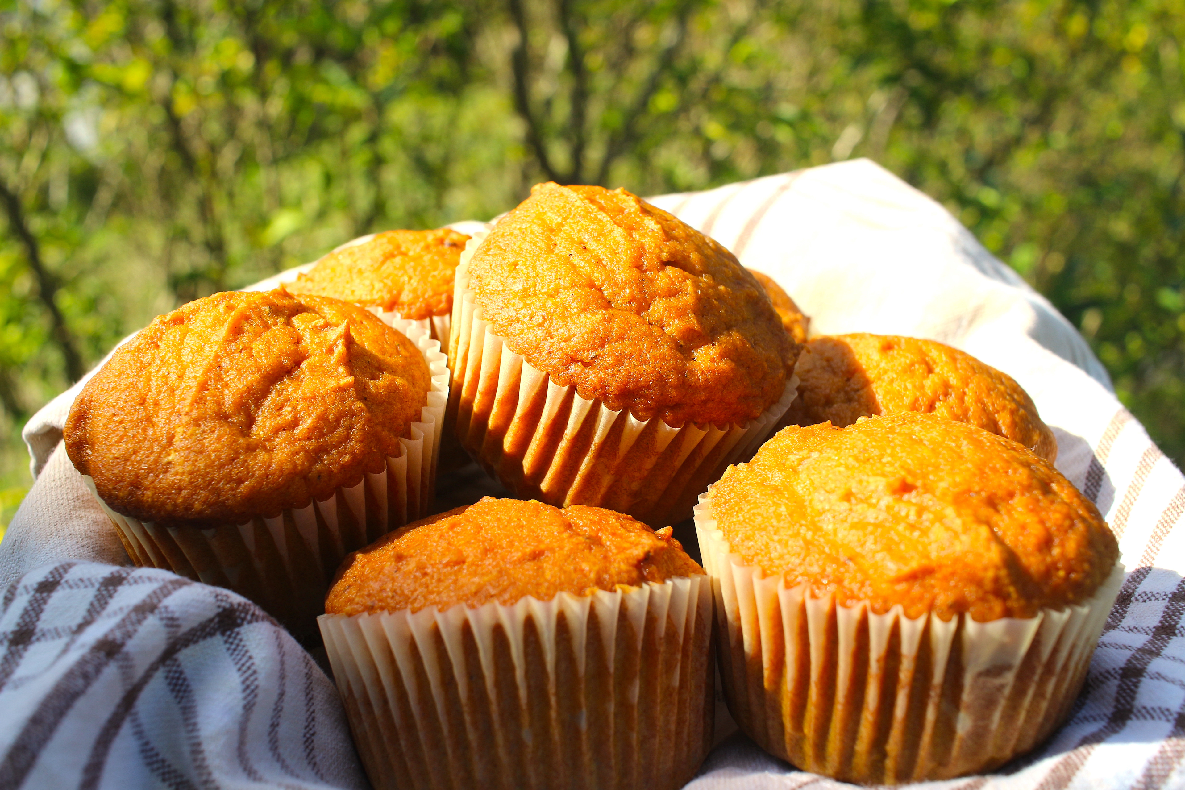 Pumpkin Lovin' Muffins