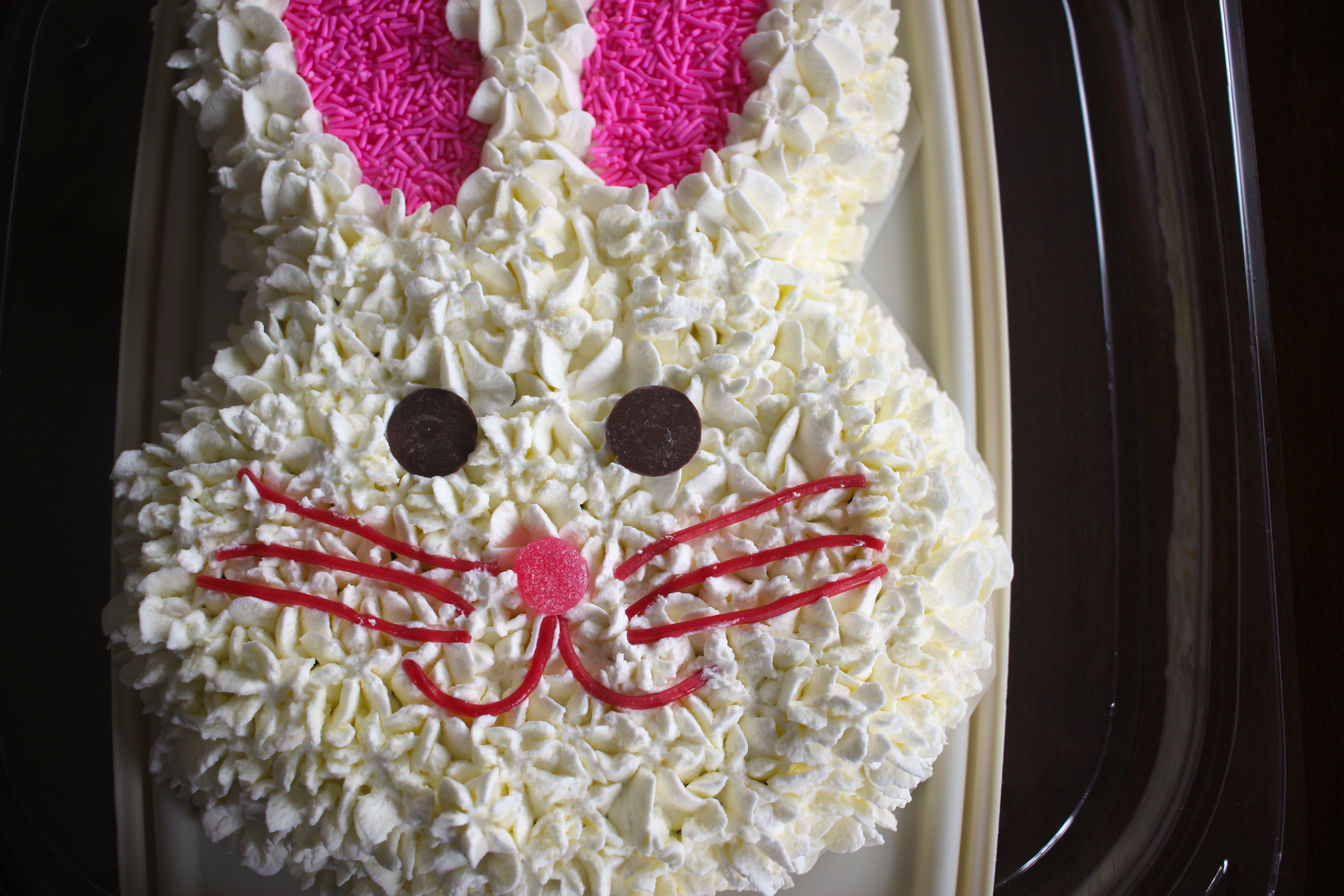 What's so Bunny? Chocolate Cake with Whipped Cream