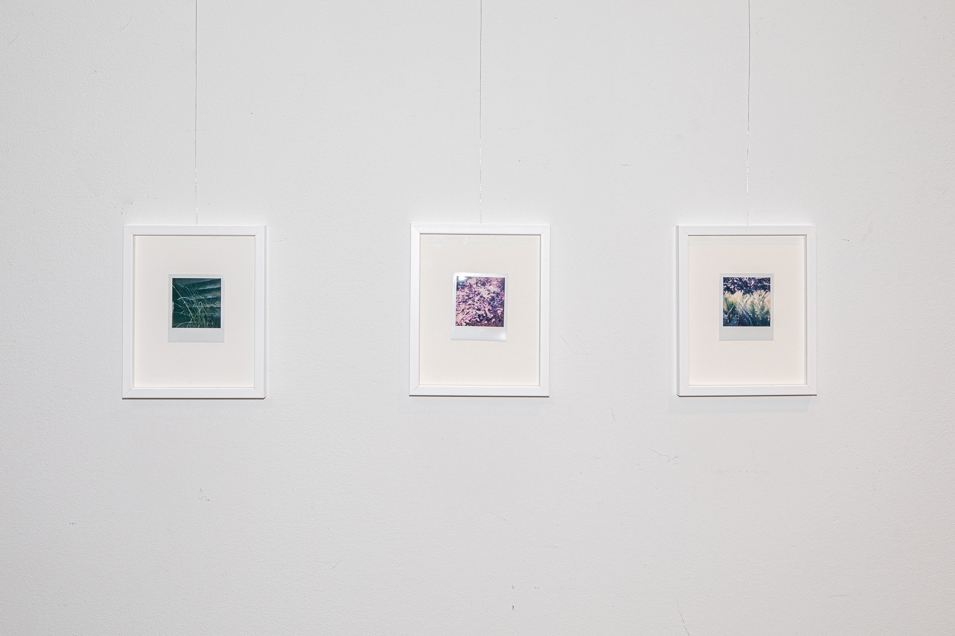 Wanderlust (2021), polaroid. Image: Sami Funke