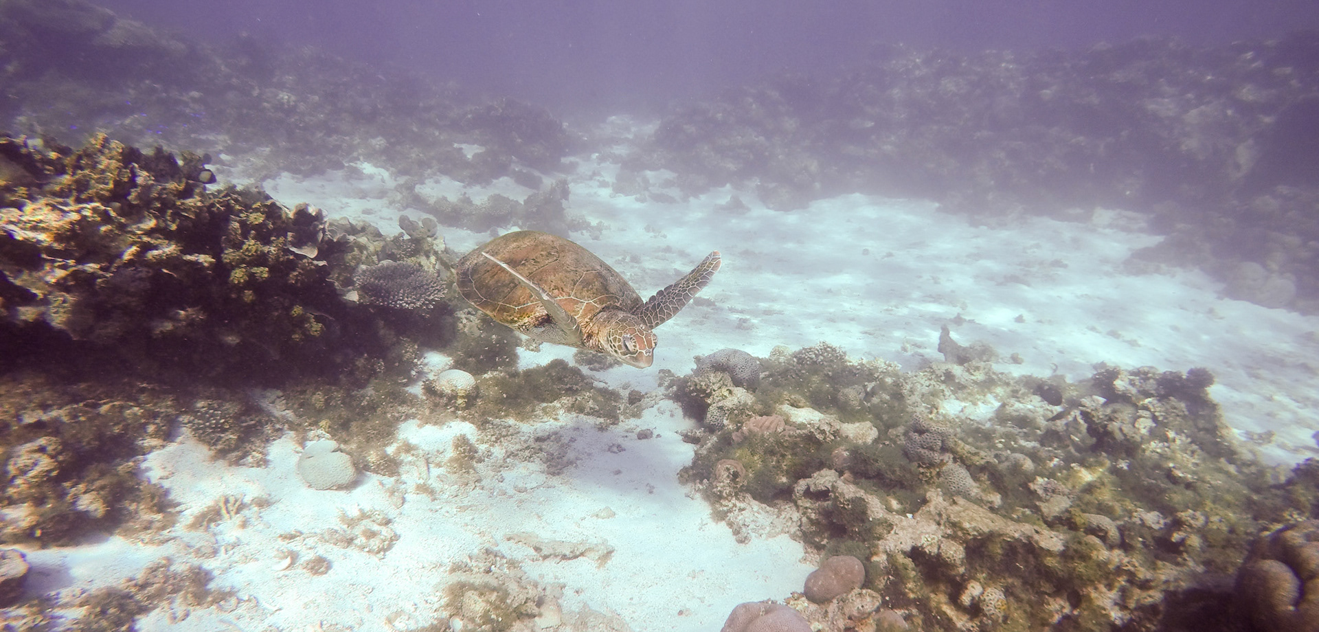 DCIM\100GOPRO\GOPR4366.