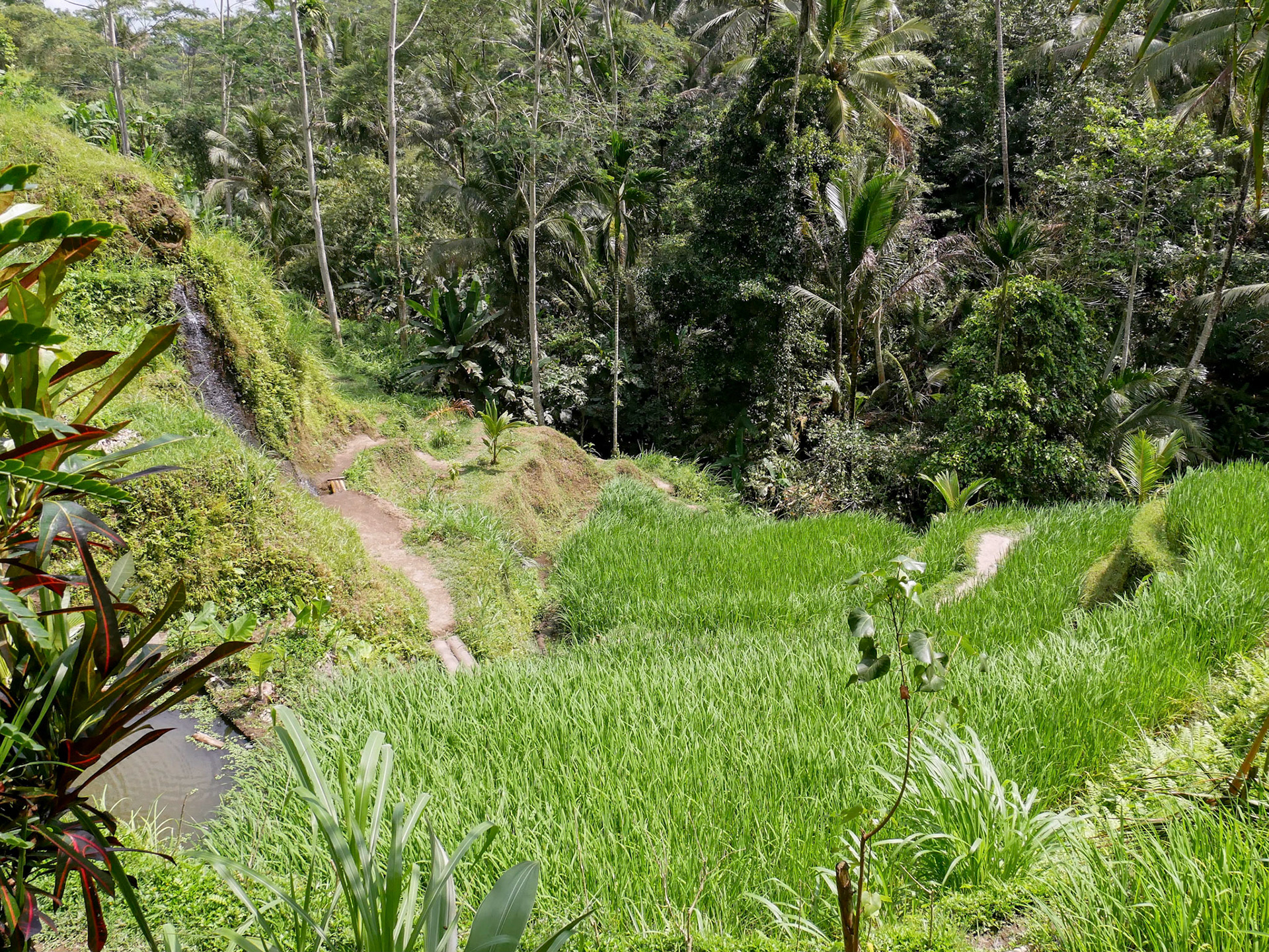 Indonesien