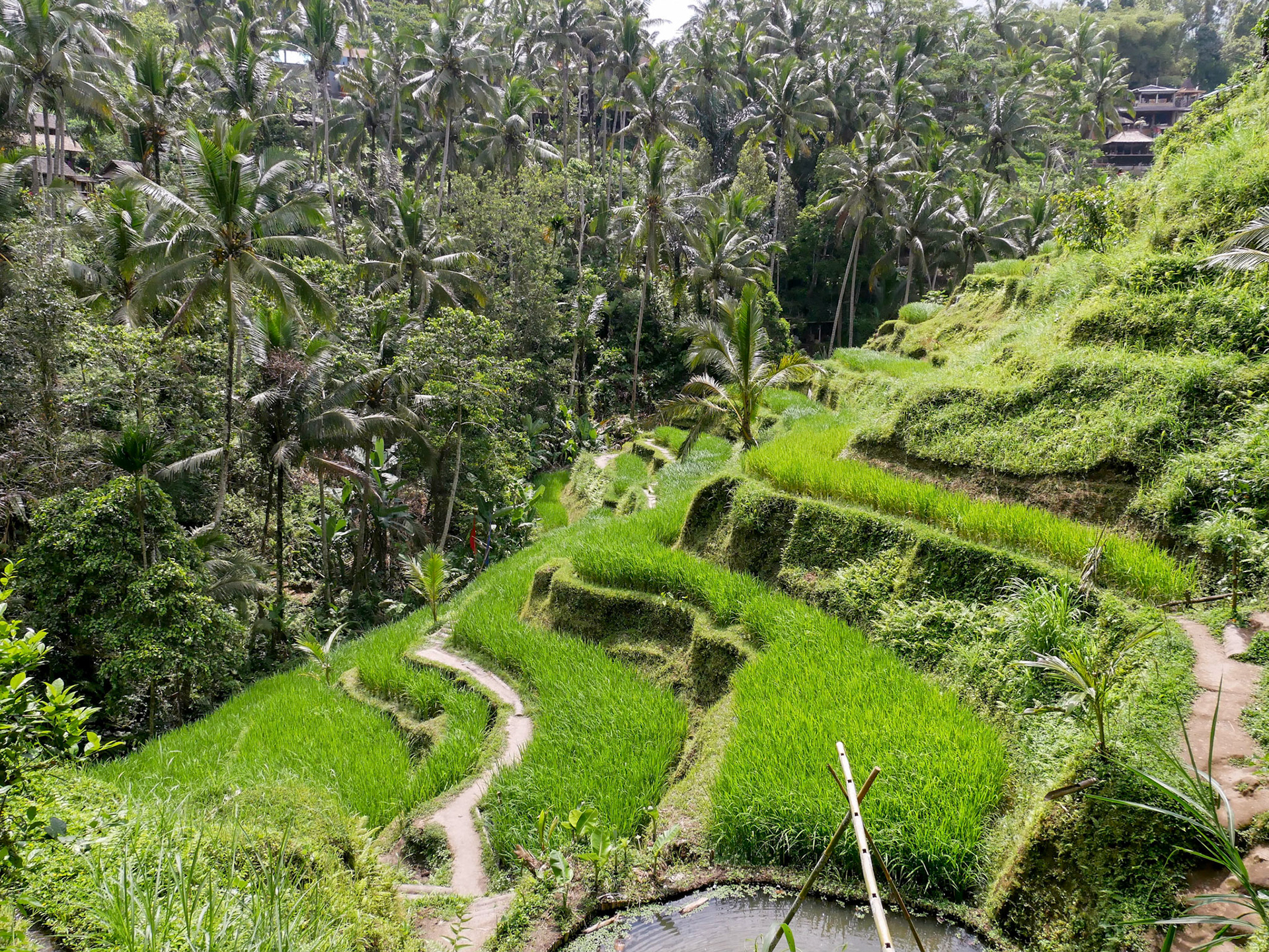 Indonesien