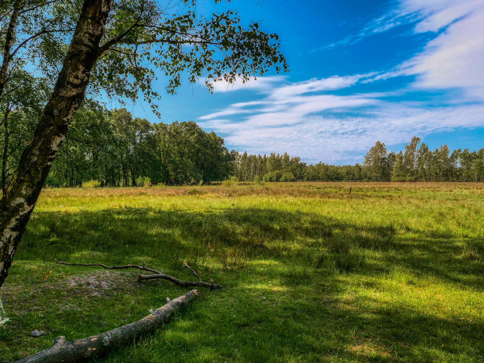 2018 Teverner Heide