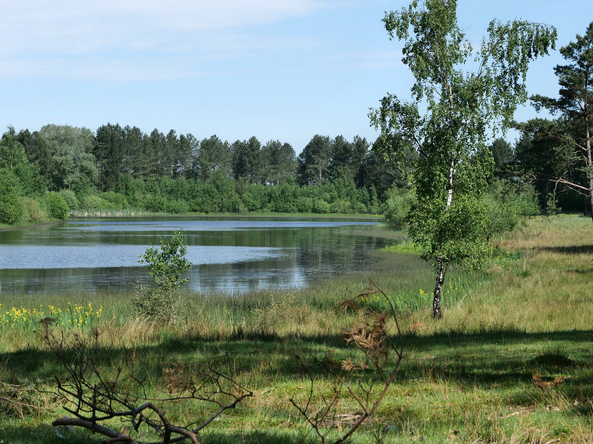 2018 Teverner Heide