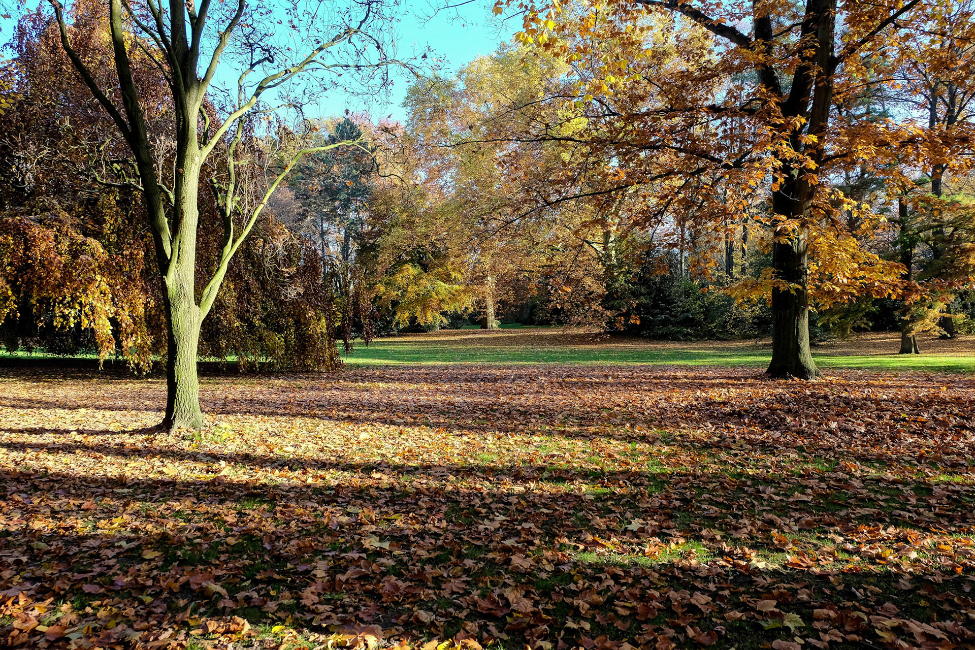 Gelsenkirchen