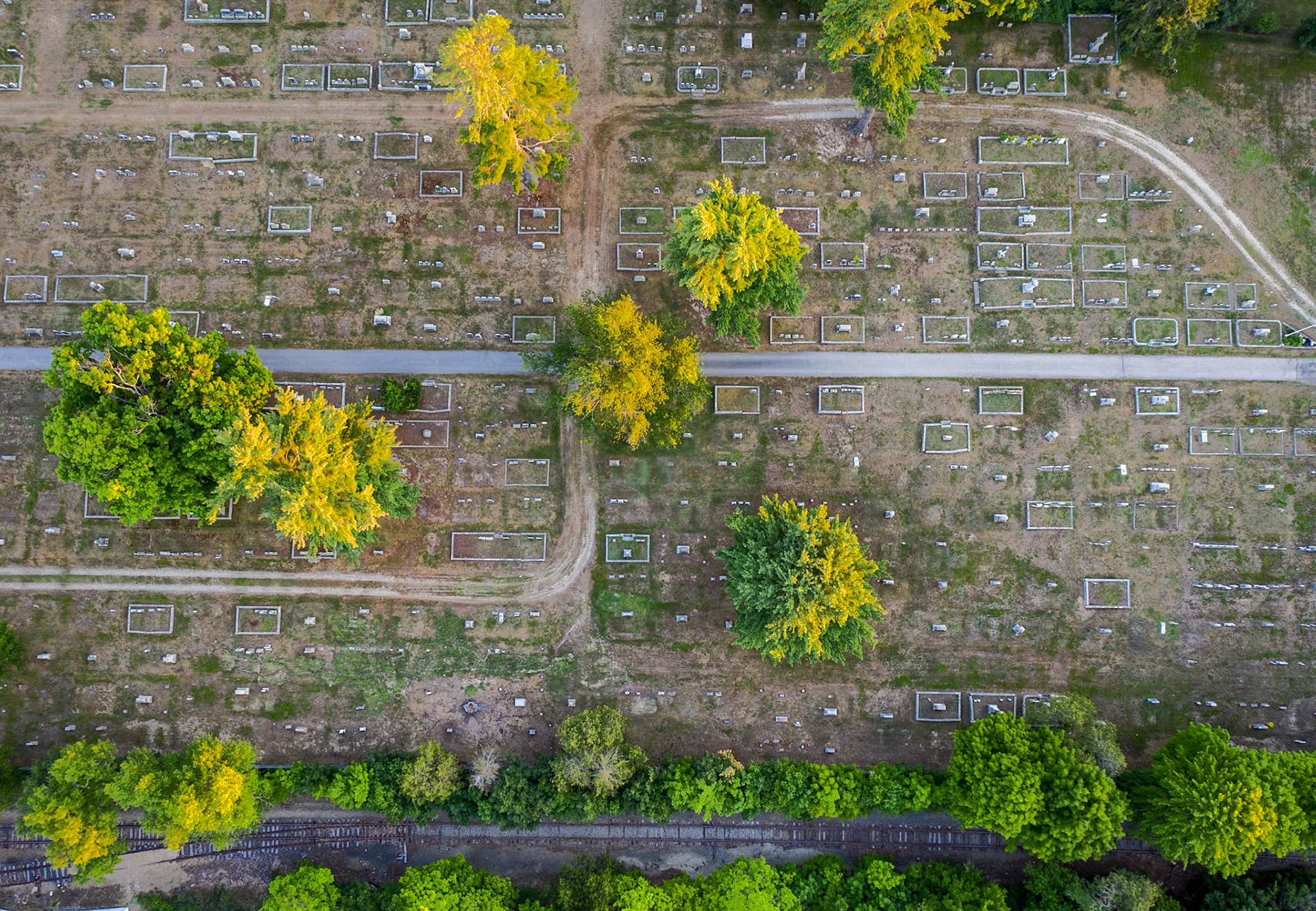 A Long Rest By The Tracks